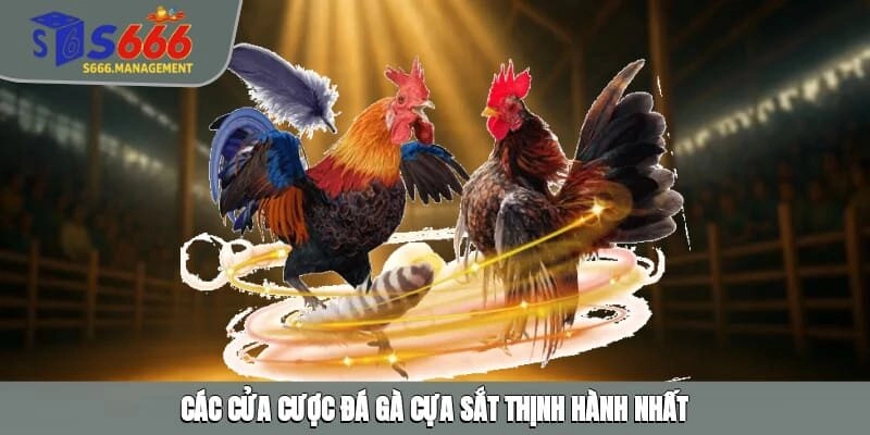 Các cửa cược đá gà cựa sắt thịnh hành nhất