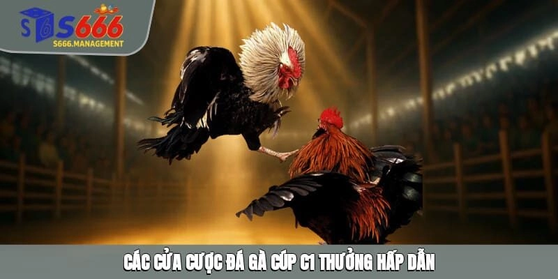 Các cửa cược đá gà Cúp C1 thưởng hấp dẫn