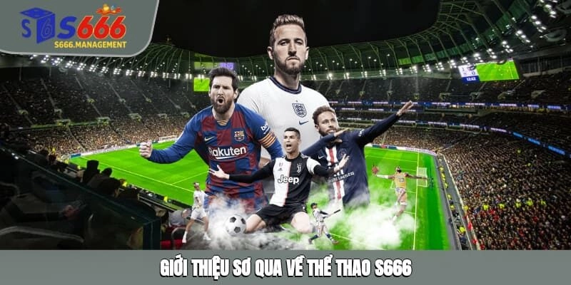 Giới thiệu sơ qua về thể thao S666