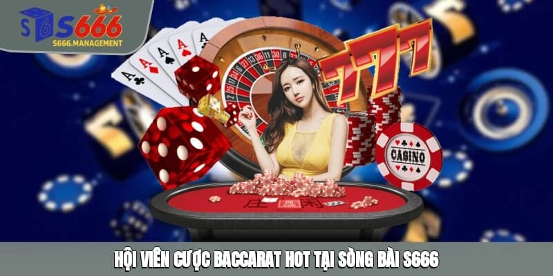 Hội viên cược Baccarat hot tại sòng bài S666