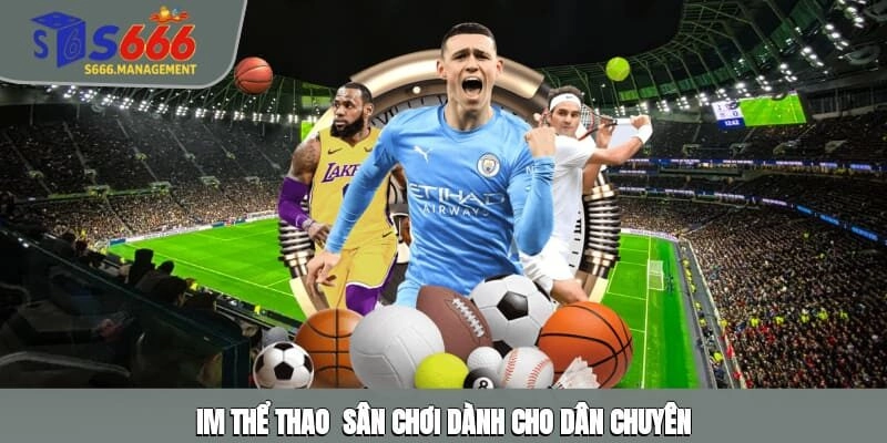 IM thể thao - Sân chơi dành cho dân chuyên