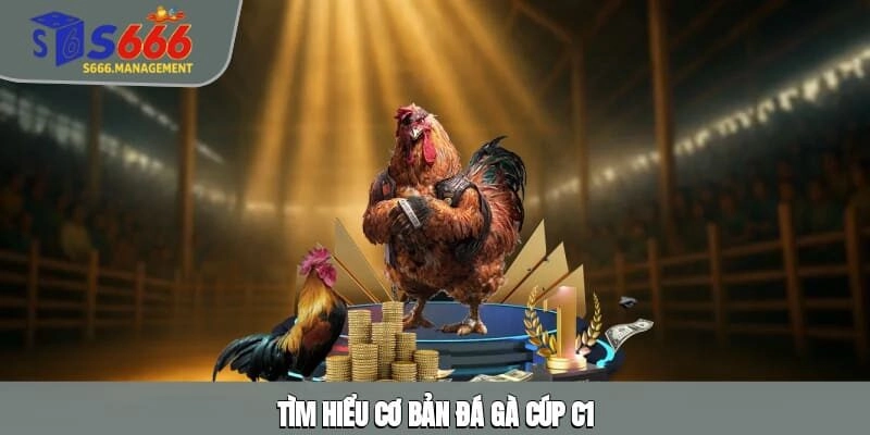 Tìm hiểu cơ bản đá gà Cúp C1